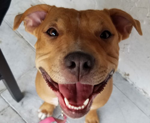 Ellie