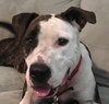 Jaelyn the Fun Loving Girl