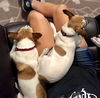 Jasper A BONDED PAIR*