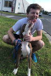 Tyson the Wonderful Running Partner