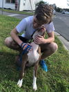 Tyson the Wonderful Running Partner