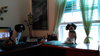 Louie The ONE PERSON OWNER dog*