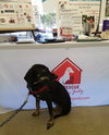 Minnie 3 Legged Wonder Girl