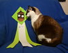 Cinderella the Beautiful Declawed Siamese Princess