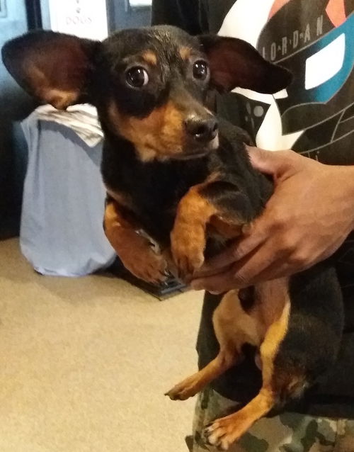 Winston