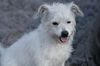 Wilma