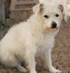 Wilma