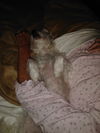 Wilma