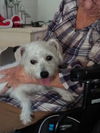 Wilma