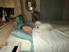 Wilma