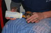 Simon the Orphan Puppy