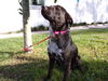 Mitsy