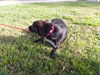 Mitsy