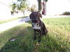 Mitsy