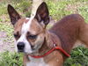 Macy