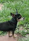 Max