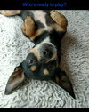 Max