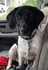 Tucker