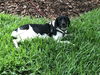 Tucker