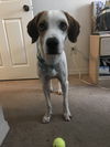Benny