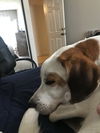 Benny