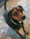 Jake @ Camp Doglando!!