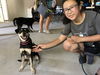 Karen @ Camp Doglando