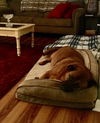 Roxie