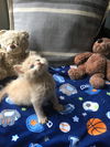 Alfie *bonded with Leo*