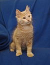 Alfie *bonded with Leo*