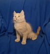 Alfie *bonded with Leo*