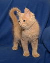Alfie *bonded with Leo*