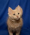 Alfie *bonded with Leo*