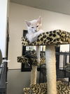 Alfie *bonded with Leo*