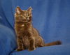 Leo *bonded with Alfie*