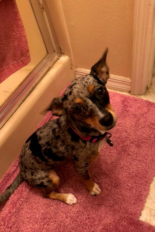 Della