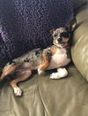 Della