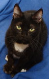 Tux