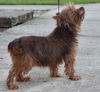Betty