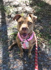 Rayna