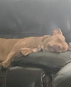 Rayna