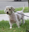 Tuffy