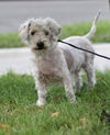 Tuffy