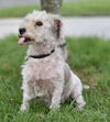 Tuffy