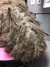 Tuffy