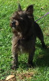 Romeo