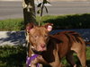 July the Joyful Girl