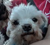 Jolly BONDED with Holly