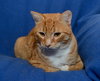 TJ ~ the playful boy!