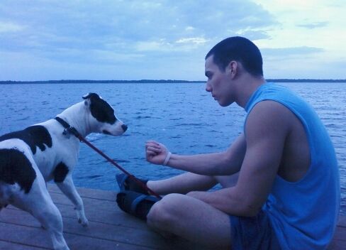Shelly Belly the Bull Terrier